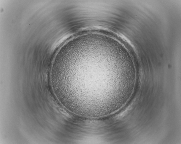 X0000087380921200705041941