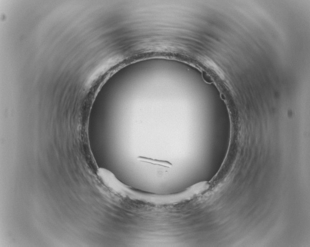 X0000087380922200705041941