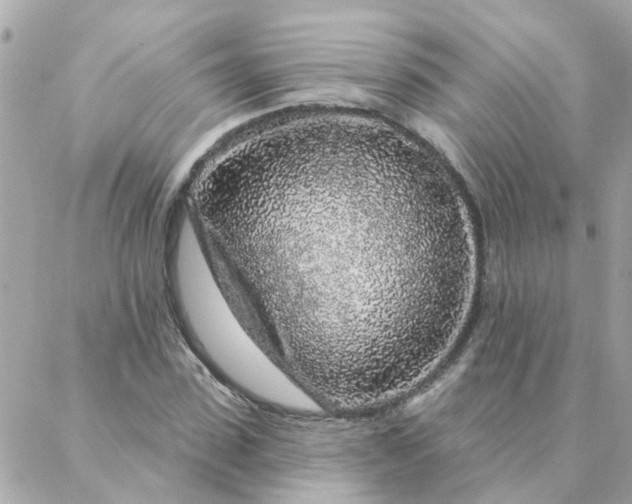 X0000087380923200705041941