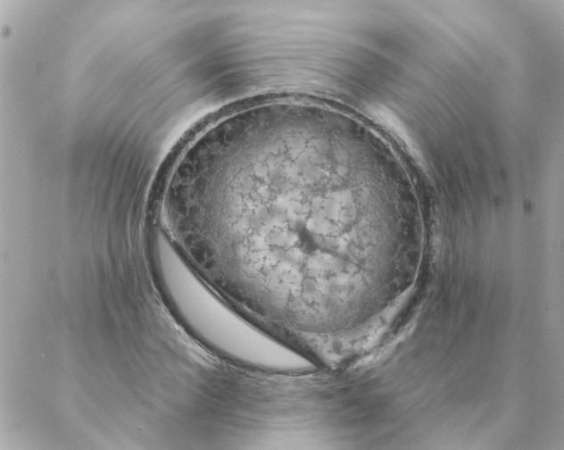 X0000087380924200705041941