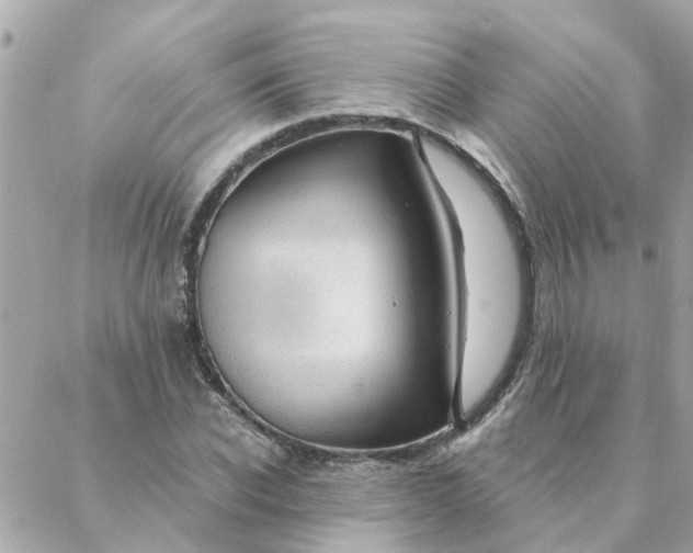 X0000087380926200705041941