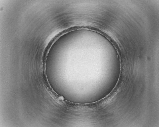 X0000087380927200705041941