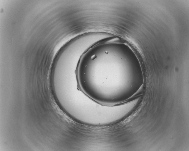 X0000087380928200705041941