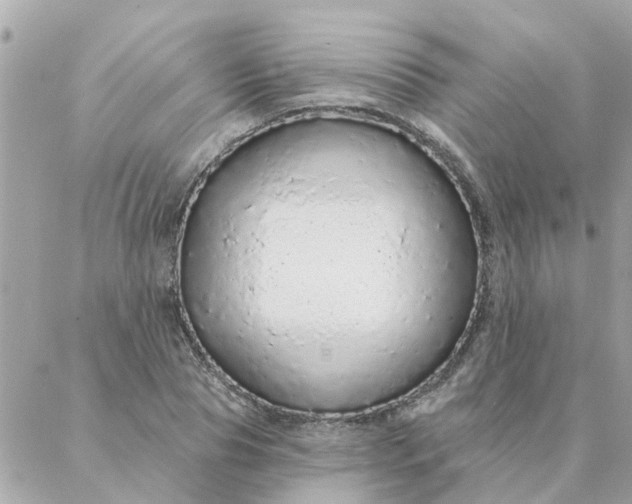 X0000087380929200705041941