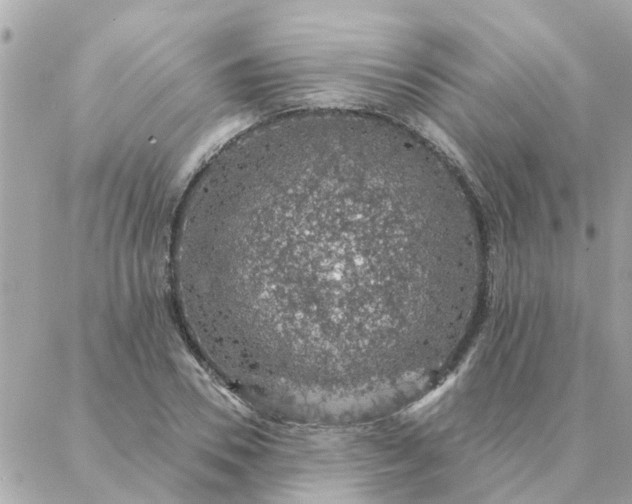 X0000087380930200705041941