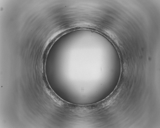 X0000087380931200705041941