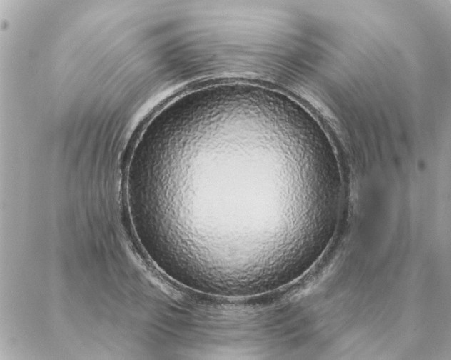 X0000087380933200705041941