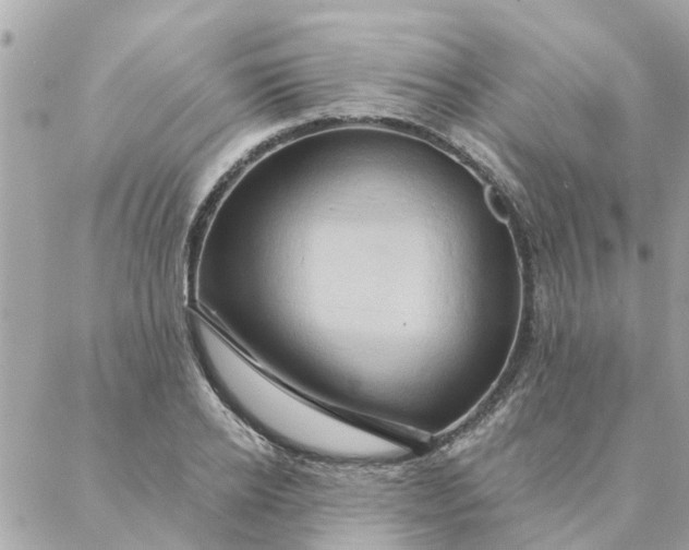 X0000087380934200705041942