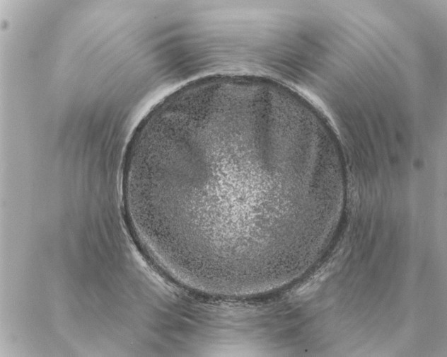 X0000087380935200705041942