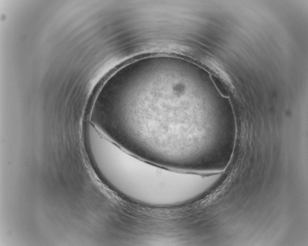 X0000087380936200705041942