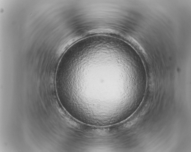 X0000087380937200705041942