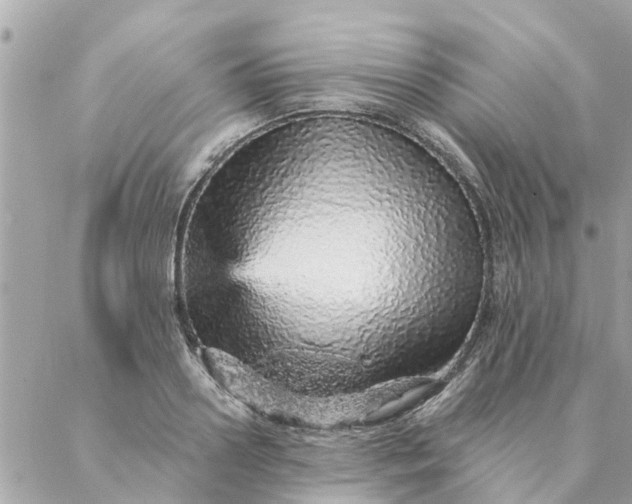 X0000087380938200705041942