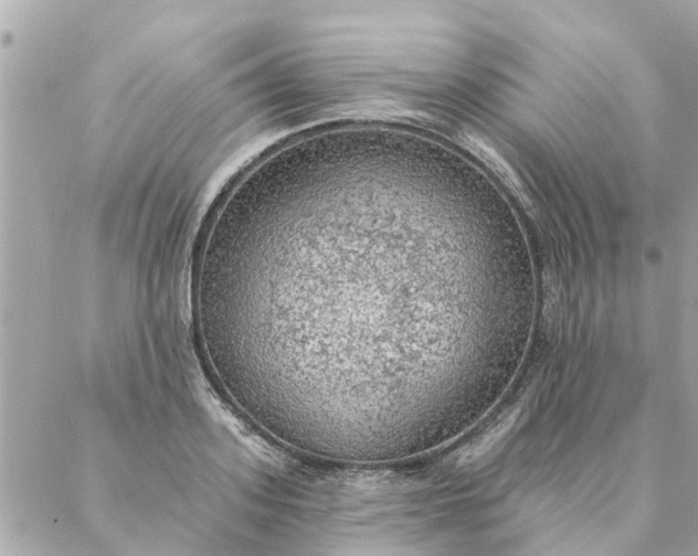 X0000087380939200705041942