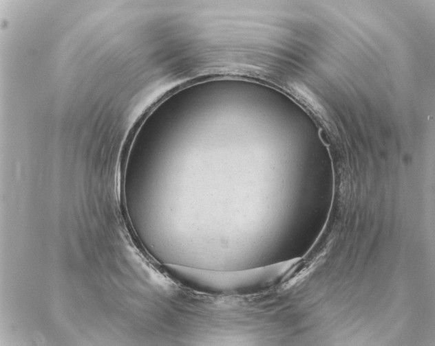 X0000087380940200705041942