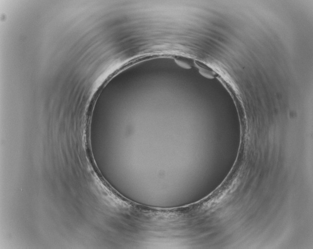 X0000087380941200705041942