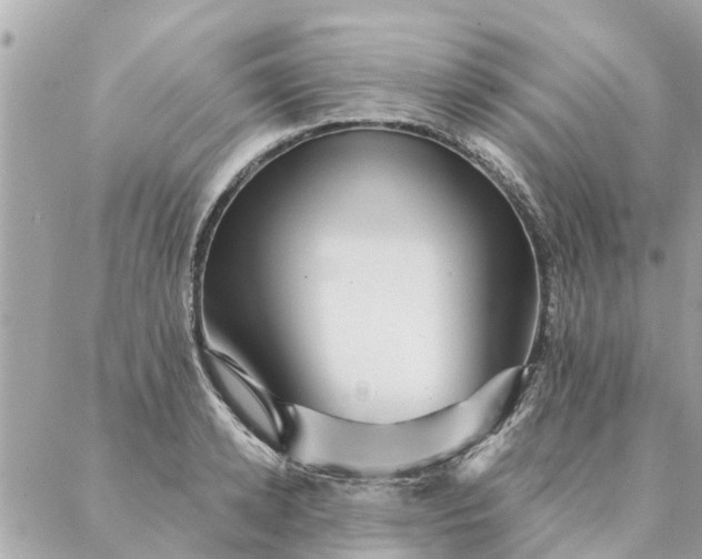 X0000087380942200705041942