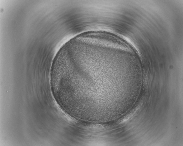 X0000087380943200705041942