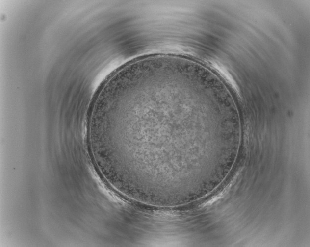 X0000087380944200705041942