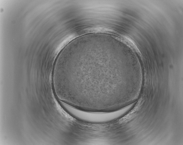 X0000087380946200705041942