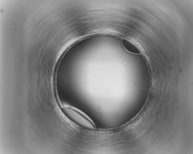 X0000087380947200705041942