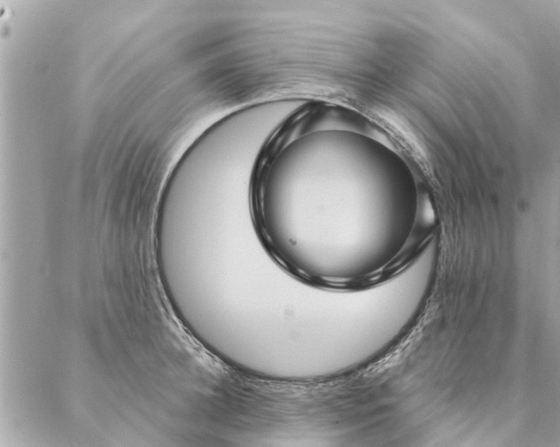 X0000087380948200705041942