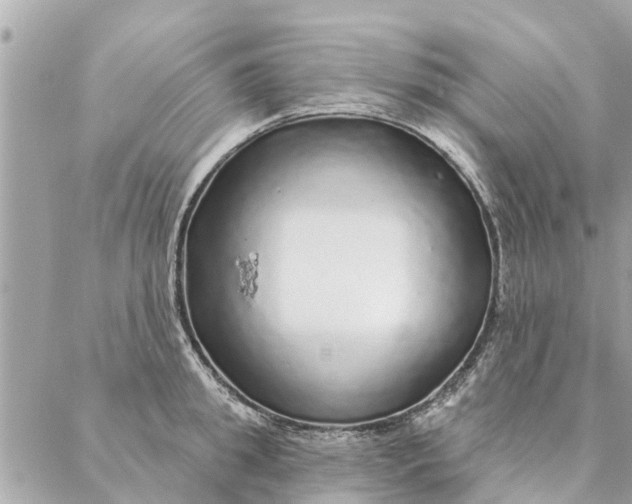 X0000087380949200705041942