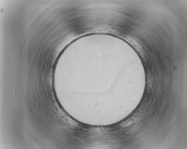 X0000087380950200705041942