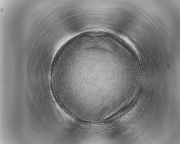 X0000087380951200705041942