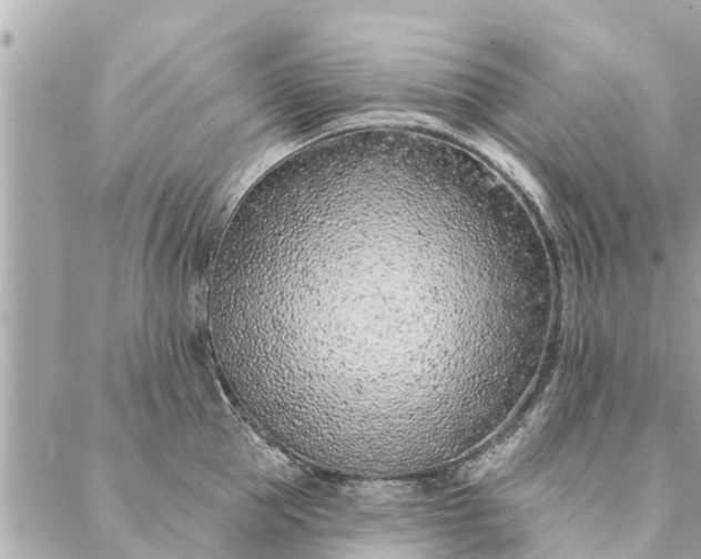 X0000087380953200705041942