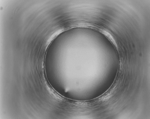 X0000087380954200705041942