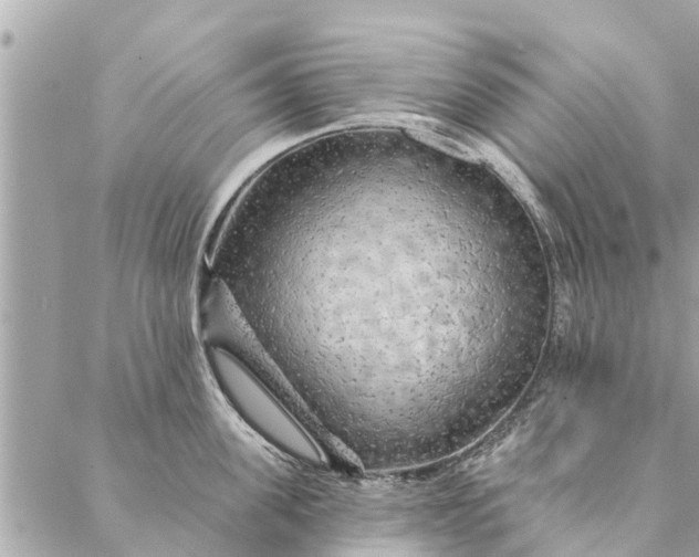 X0000087380955200705041942