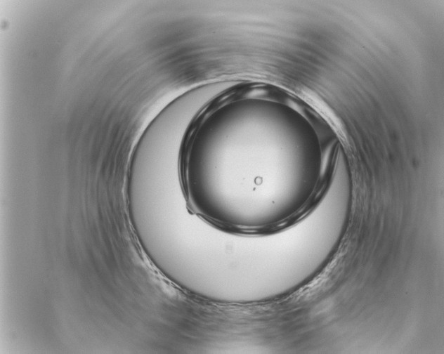 X0000087380956200705041942