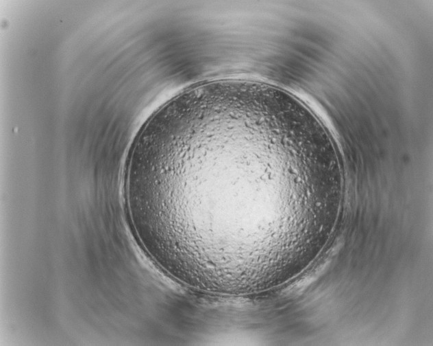 X0000087380957200705041942