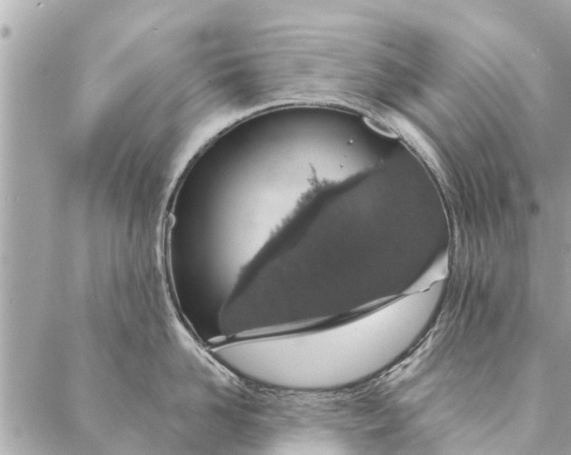 X0000087380958200705041942