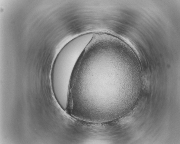 X0000087380959200705041942