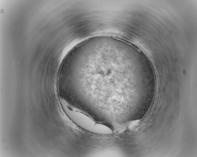 X0000087380960200705041942