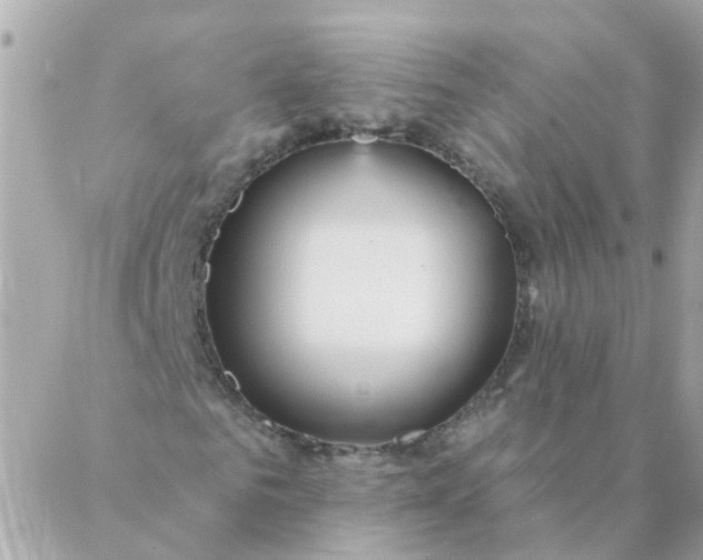 X0000087380961200705041941