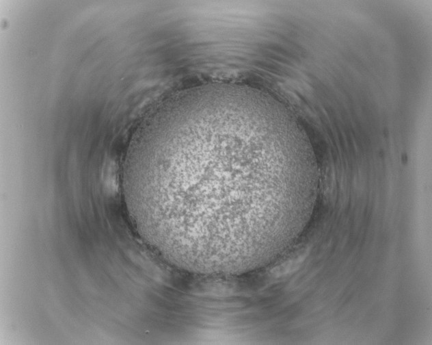 X0000087380962200705041941