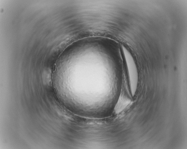 X0000087380963200705041941