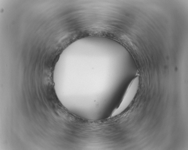 X0000087380964200705041941