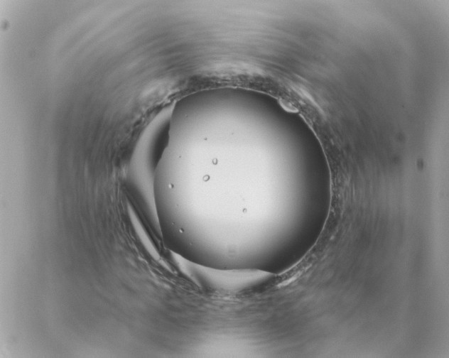 X0000087380965200705041941