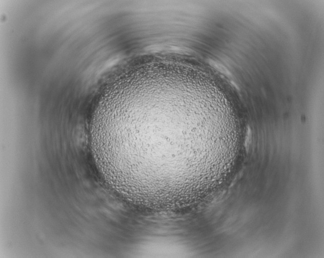 X0000087380966200705041941