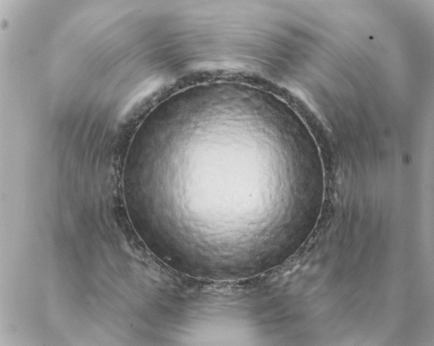 X0000087380967200705041941