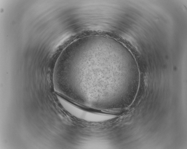 X0000087380968200705041941