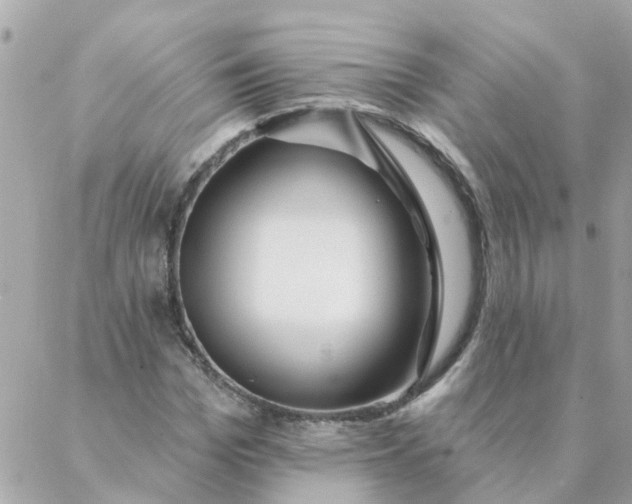 X0000087380969200705041941