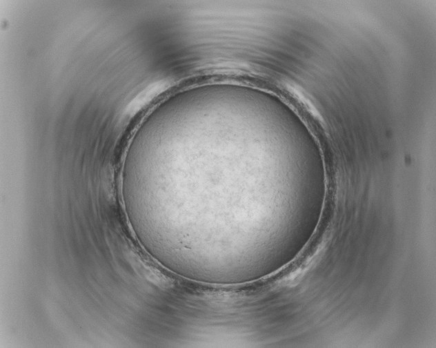 X0000087380970200705041941