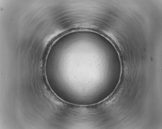 X0000087380971200705041941