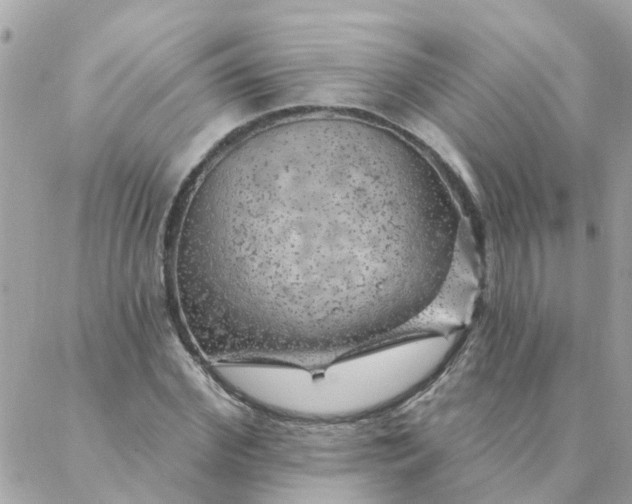 X0000087380972200705041941