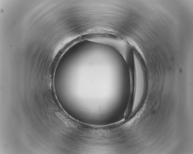 X0000087380973200705041941