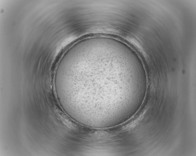 X0000087380974200705041941